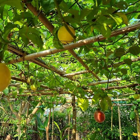 דואונג דונג Anan Boutique Bungalows With Private Kitchen מראה חיצוני תמונה
