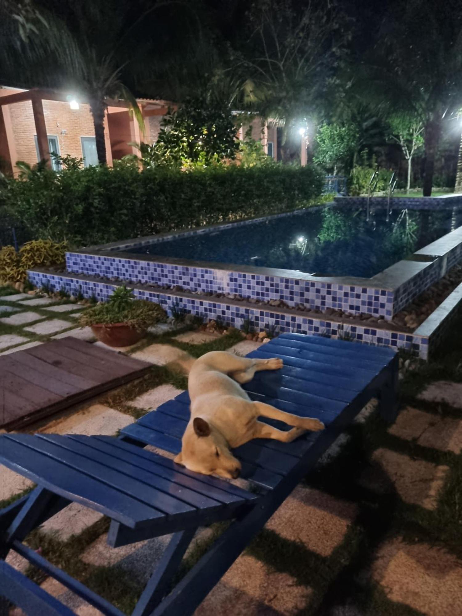 דואונג דונג Anan Boutique Bungalows With Private Kitchen מראה חיצוני תמונה